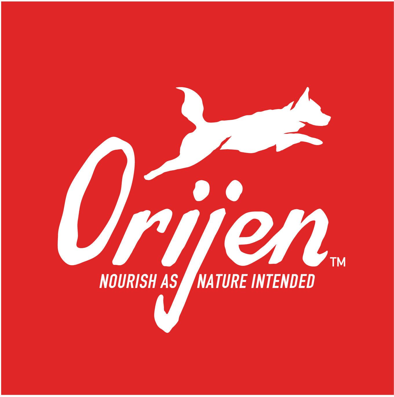 Orijen for Dogs | VetX