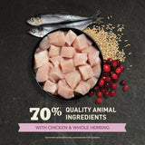 Acana Kitten | First Feast Chicken with Herring | VetX