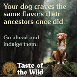 Taste of the Wild | High Prairie | Canine Puppy | with Bison + Roasted Venison