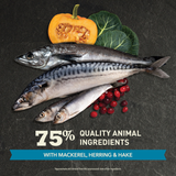 Acana Highest Protein | PACIFICA | VetX