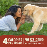 Acana Freeze-Dried Dog Treats | Beef & Pumpkin | VetX