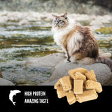 Orijen 6 Fish Freeze-Dried Cat Treats | VetX