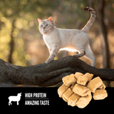 Orijen Grass-Fed Lamb Freeze-Dried Cat Treats | VetX