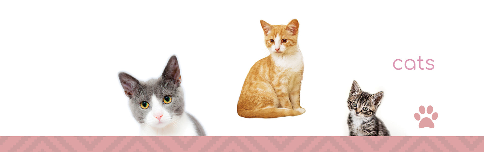 Vet X collection all products for cats