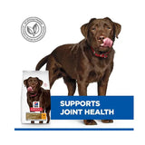 Hill's Science Plan Canine Healthy Mobility Large | VetX