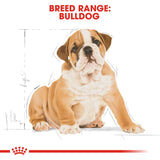 Royal Canin | English Bulldog Puppy | VetX