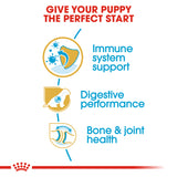 Royal Canin | Boxer Puppy | VetX