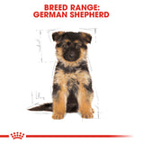 Royal Canin | Boxer Puppy | VetX