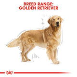 Royal Canin | Golden Retriever Adult | VetX