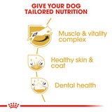 Royal Canin | Jack Russell Adult | VetX