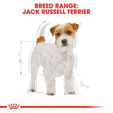 Royal Canin | Jack Russell Adult | VetX
