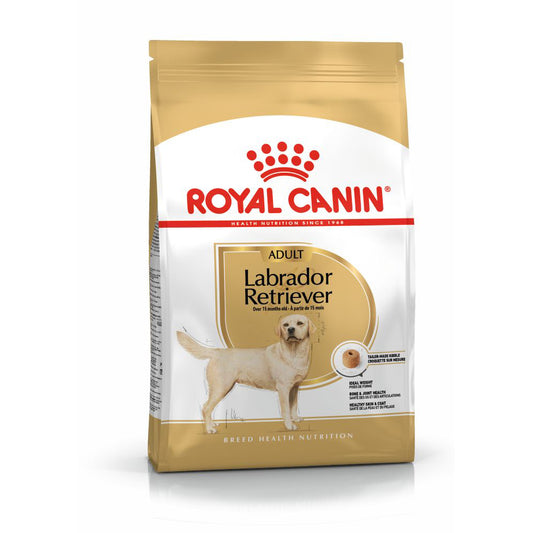 Royal Canin | Labrador Retriever Adult | VetX