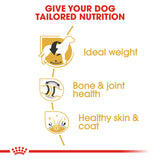 Royal Canin | Labrador Retriever Adult | VetX