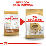 Royal Canin | Labrador Retriever Adult | VetX