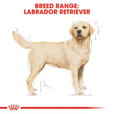 Royal Canin | Labrador Retriever Adult | VetX