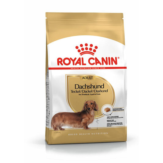Royal Canin | Dachshund Adult | VetX