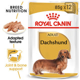 Royal Canin | Dachshund Adult | Wet Food Pouch | VetX