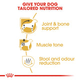 Royal Canin | Dachshund Adult | VetX