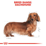 Royal Canin | Dachshund Adult | VetX