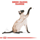 Royal Canin | Siamese | Adult | VetX
