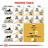 Royal Canin | Siamese | Adult | VetX