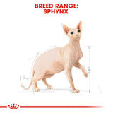 Royal Canin | Sphynx | Adult | VetX