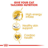 Royal Canin | Sphynx | Adult | VetX