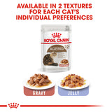 Royal Canin Cat | Ageing 12+ in Gravy | VetX