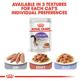 Royal Canin Cat | Instinctive in Gravy | VetX