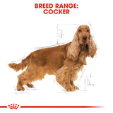 Royal Canin | Cocker Spaniel Adult | VetX