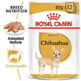 Royal Canin | Chihuahua Adult | Wet Food Pouch | VetX