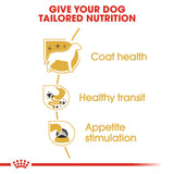 Royal Canin | Chihuahua Adult | Wet Food Pouch | VetX