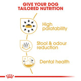 Royal Canin | Boxer Adult | VetX