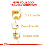 Royal Canin | Poodle Adult | VetX