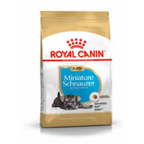 Royal Canin | Miniature Schnauzer Puppy | VetX