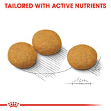 Royal Canin | Medium Dog | Dermacomfort | VetX
