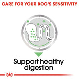 Royal Canin | Dog | Digestive Care | Wet Loaf | VetX