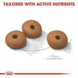 Royal Canin | Medium Dog | Light Weight Care | VetX