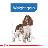 Royal Canin | Medium Dog | Light Weight Care | VetX