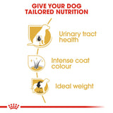 Royal Canin | Miniature Schnauzer Adult | VetX