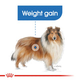 Royal Canin | Maxi Dog | Light Weight Care | VetX