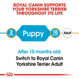 Royal Canin | Yorkshire Terrier Puppy | VetX