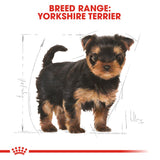 Royal Canin | Yorkshire Terrier Puppy | VetX