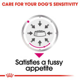 Royal Canin | Dog | Exigent Wet Loaf| VetX