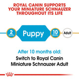 Royal Canin | Miniature Schnauzer Puppy | VetX