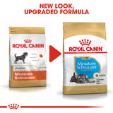 Royal Canin | Miniature Schnauzer Puppy | VetX