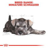 Royal Canin | Miniature Schnauzer Puppy | VetX