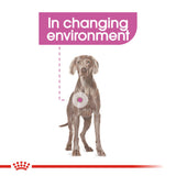 Royal Canin | Maxi Dog | Relax Care | VetX