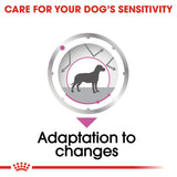 Royal Canin | Dog | Relax Care | Wet Loaf | VetX