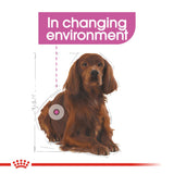 Royal Canin | Medium Dog | Relax Care | VetX